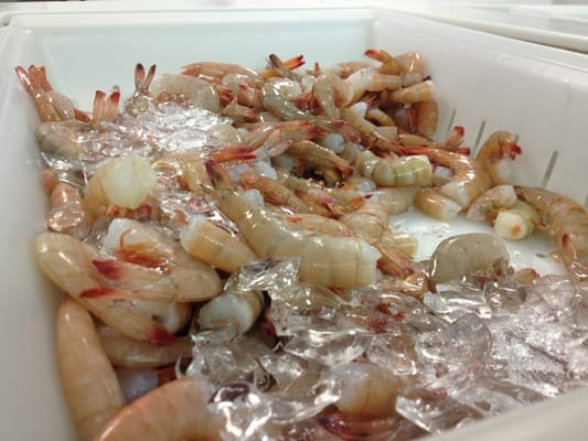 Gulf Shores Seafood - 21 Photos - Seafood Markets - Gulf Shores, AL