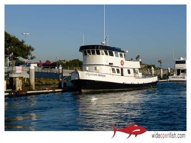 Long Beach Fishing Boat long beach marina sportfishing city of long beach charter Long Beach Fishing Boat long beach marina sportfishing city of long beach charter