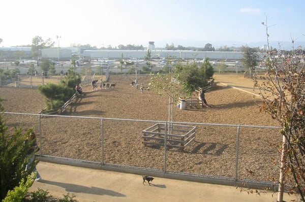Santa Monica Airport Dog Park www.yelp.com