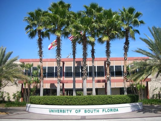 University of South Florida - Colleges & Universities - Tampa, FL - Yelp