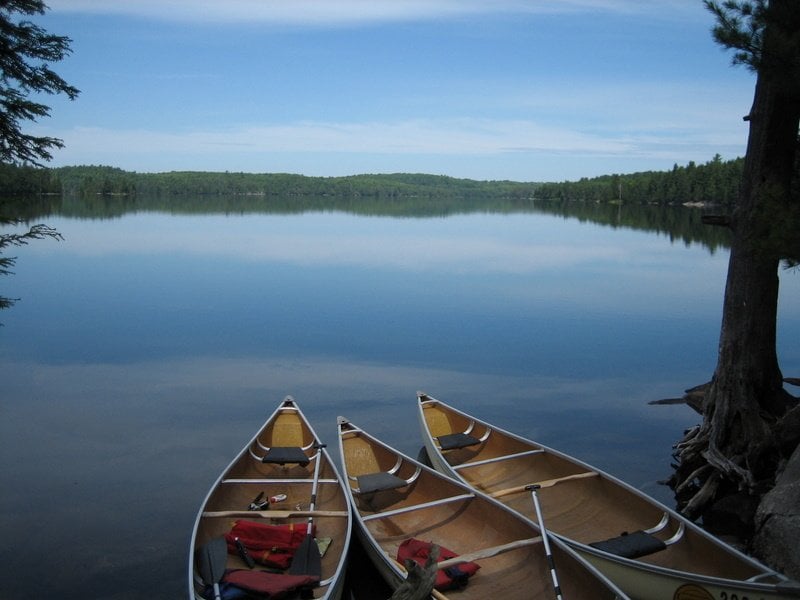 Burnt Island Lake Algonquin Burnt Island Lake Algonquin