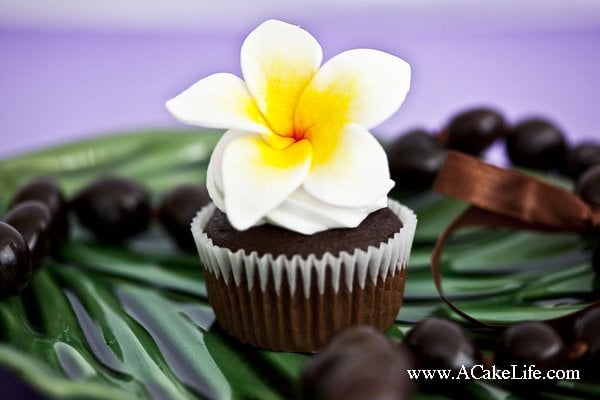 fondant plumeria