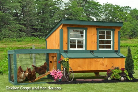 4x6 Lean-To Chicken Coop from the Amish in Lancaster, PA. | Yelp