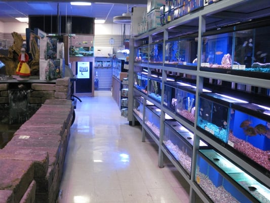 aquatic critter inc pet stores nashville tn yelp aquatic critter inc pet stores nashville tn yelp