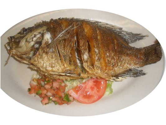 mojarra fish