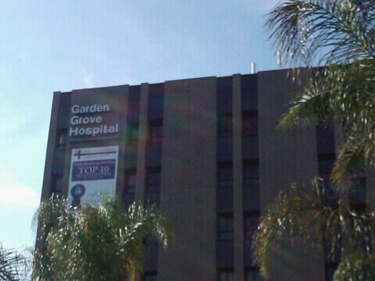 garden grove and cat hospital garden grove and cat hospital 28 images garden grove cat hospital 80 foton veterin garden grove and cat hospital garden grove and cat hospital 28 images garden grove cat hospital 80 foton veterin