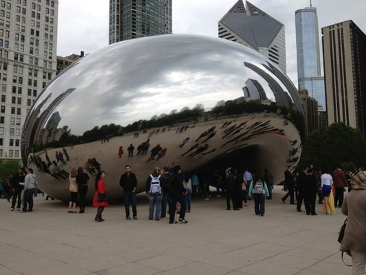 Chicago Kidney Bean
