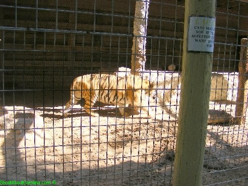 All Categories Parkfasr