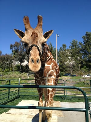 newhall guys 24400 walnut street suite i newhall, ca 91321 6612577272 info@cart-logisticscom wwwcart-logisticscom website design and development by omatix cart logistics | guys who honestly care and really want to help. newhall guys 24400 walnut street suite i newhall, ca 91321 6612577272 info@cart-logisticscom wwwcart-logisticscom website design and development by omatix cart logistics | guys who honestly care and really want to help.