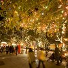 Photo of Opportunity Village's Magical Forest